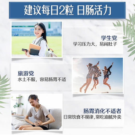 Swisse斯维诗  植物乳酸菌胶囊 0.41g/粒x24粒 商品图2