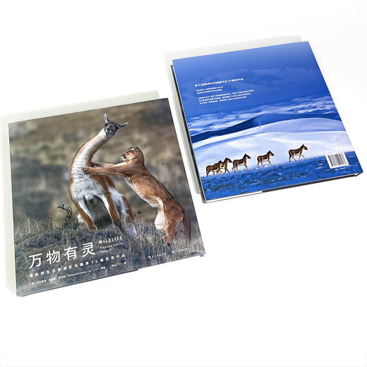 万物有灵：国际野生生物摄影年赛 第55届获奖作品 商品图2