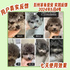 巴士宠泪痕净20ml 去泪痕口服液 源头修护泪痕 营养补充  犬猫通用【5送2，10送5】 商品缩略图1
