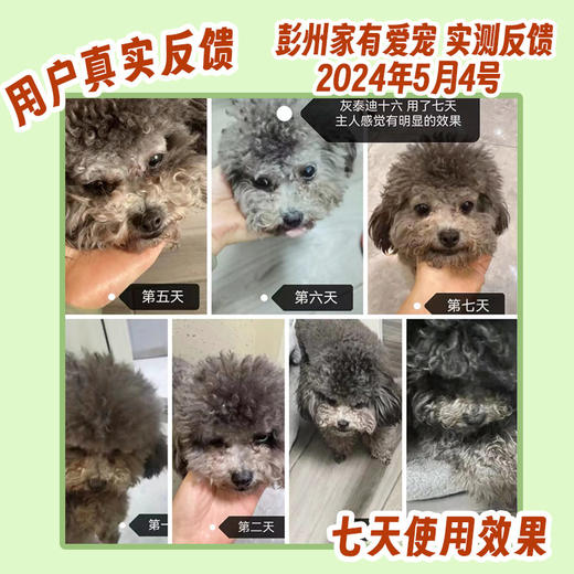 巴士宠泪痕净20ml 去泪痕口服液 源头修护泪痕 营养补充  犬猫通用【5送2，10送5】 商品图1