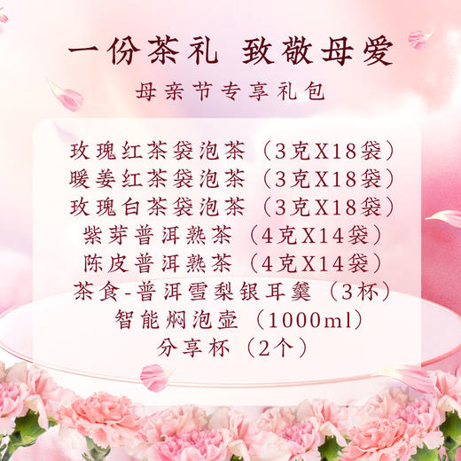 【母亲节专享】母亲节专享-健康温润-380礼包 商品图1