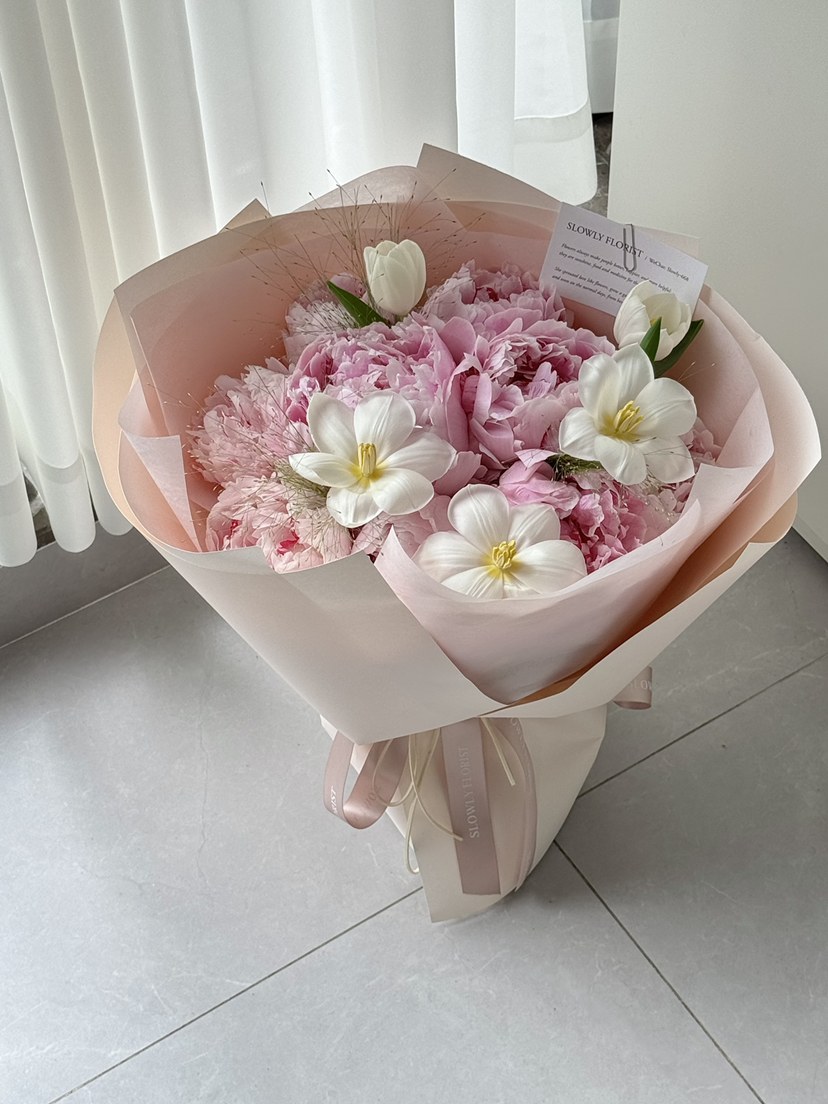 进口品种-萨拉大芍药