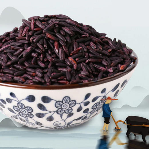 燕之坊紫香糯米（一品） 470g/袋 商品图4