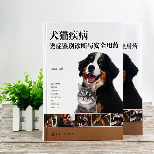 犬猫疾病类症鉴别诊断与安全用药 商品图1