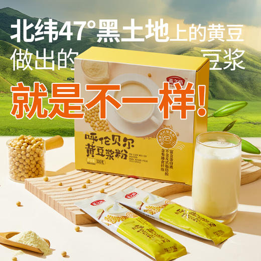 燕之坊黄豆浆粉 黑豆浆 五谷杂粮粗粮粉 营养早餐粉 冲饮代餐即食 黄豆浆粉 320g 商品图2