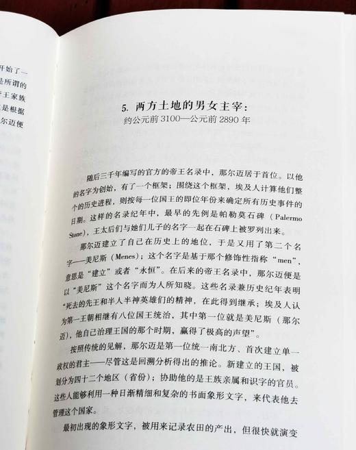 《埃及四千年：主宰世界历史进程的伟大文明》，精装，16开，[英]乔安.弗莱切著，浙江文艺出版社2020年一版九印，414页，定价118，售价53元。 商品图9