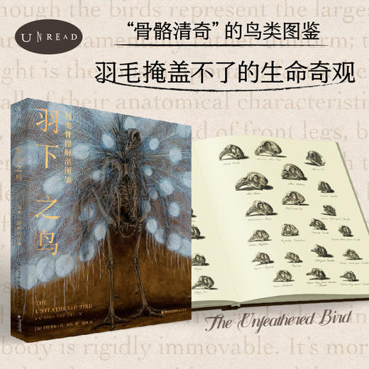 羽下之鸟+非自然的选择（套装/单本）【重磅新品】 商品图0