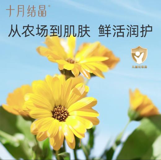 【会员专属】十月结晶护臀膏新生儿PP霜两件组合装 护肤天然宝宝霜初生儿护臀霜50g 商品图1