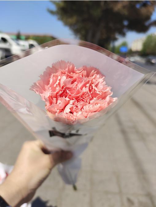 单支粉色康乃馨花束3支 商品图1