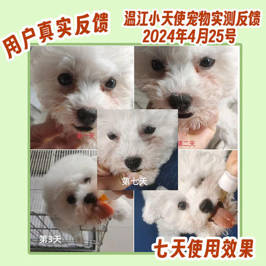 巴士宠泪痕净20ml 去泪痕口服液 源头修护泪痕 营养补充  犬猫通用【5送2，10送5】 商品图2