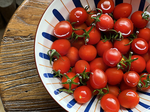 【釜山88小番茄】无药残留、自然成熟采摘，清甜爽口，果相优越，果肉细腻紧实，每一口都甜到心坎里-CC 商品图2