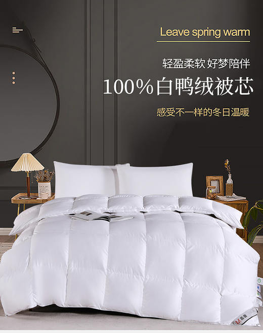 皓月羽绒被 商品图0