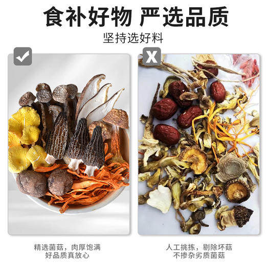 在菌屋 云南七珍汤包70g/袋 每袋3颗大羊肚菌 无红枣枸杞 炖汤鲜甜 商品图3