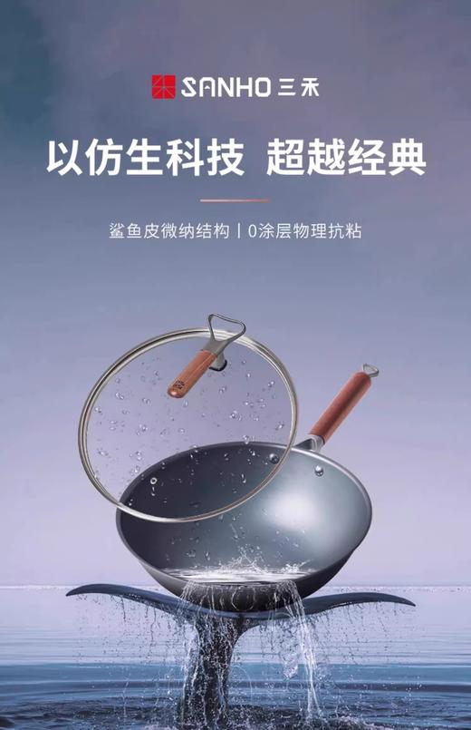 【天际】三禾-窒氮轻铁锅 商品图0