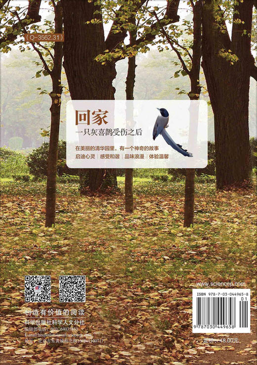 回家——一只灰喜鹊受伤之后 商品图1