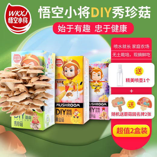0593【国企严选，山海食材】悟空小将DIY可食用蘑菇（秀珍菇+桃红平菇） 商品图0