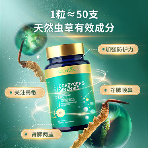 【肾肺两益】【净肺顺鼻】Scenkan美国进口冬虫夏草片 虫草菌丝体优质送礼滋补品 商品图0