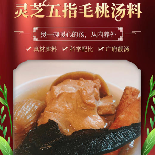 【从化帮扶】灵芝五指毛桃汤料(袋装)  103g 商品图3