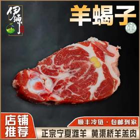 宁夏滩羊正宗羊羔肉新鲜分割优质羊蝎子500g2包高端送礼原味散养