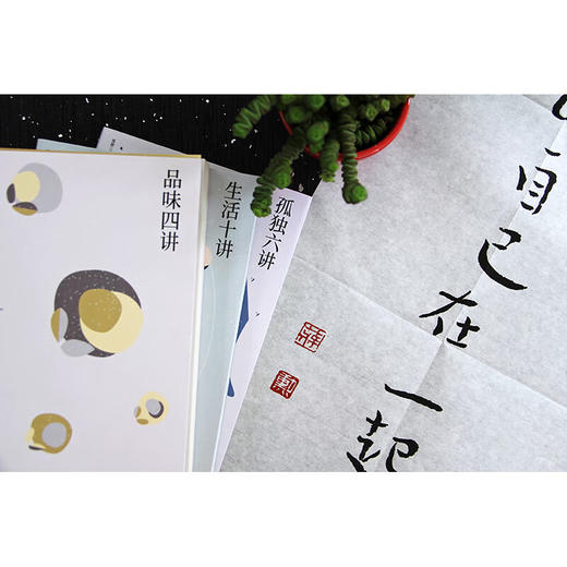 蒋勋 孤独三书平装：孤独六讲+品味四讲+生活十讲 商品图3