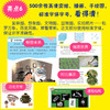 【出版社直发 适合5-12岁】《当西游记遇见科学》全20册 5-12岁 涵盖小学语文、科学等多个学科,涉及物理、化学、历史等200个知识点 商品缩略图8