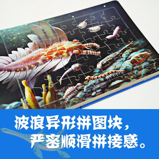 PNSO中国恐龙知识拼图+中国翼龙知识拼图+中国海龙知识拼图 商品图4