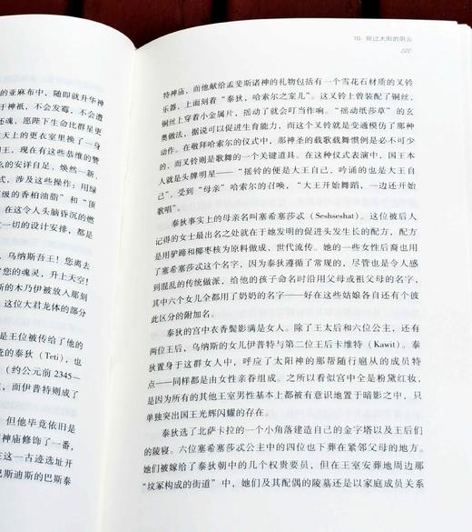 《埃及四千年：主宰世界历史进程的伟大文明》，精装，16开，[英]乔安.弗莱切著，浙江文艺出版社2020年一版九印，414页，定价118，售价53元。 商品图12