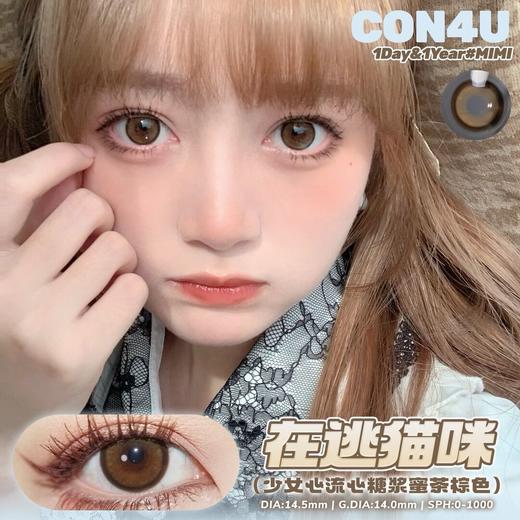 CON4U 在逃猫咪（日抛10片装） 商品图0