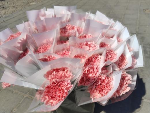 单支粉色康乃馨花束3支 商品图5