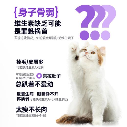 【新品】新宠之康 犬猫通用维生素200片 商品图1