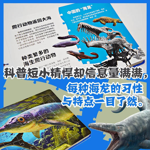 PNSO中国恐龙知识拼图+中国翼龙知识拼图+中国海龙知识拼图 商品图3