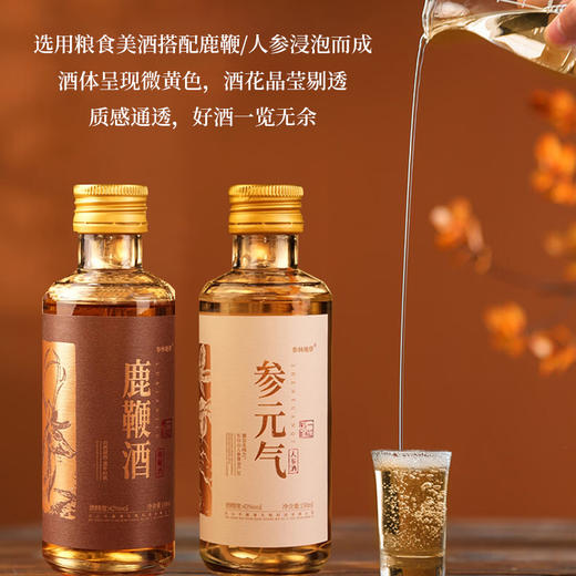 参林地带人参｜鹿鞭酒150ml 商品图2