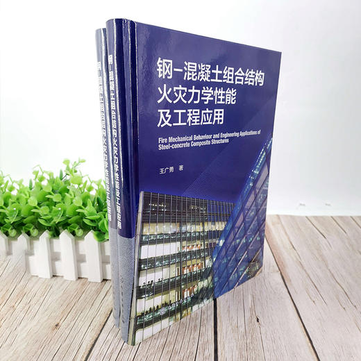 钢-混凝土组合结构火灾力学性能及工程应用 商品图7