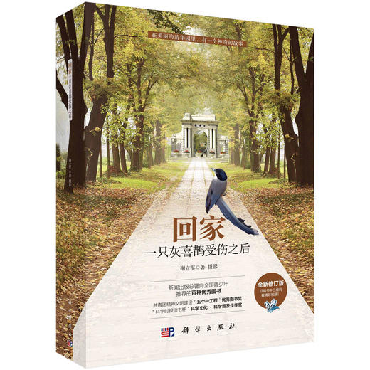 回家——一只灰喜鹊受伤之后 商品图0