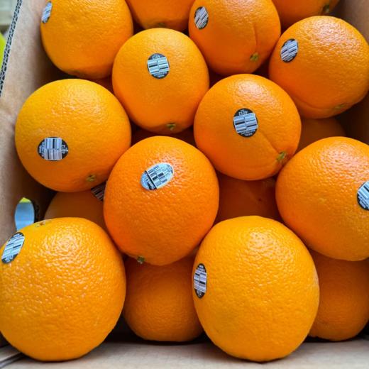 美国新奇士橙黑标脐橙4012 | 进口水果 商品图2