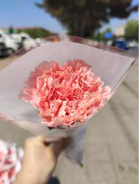 单支粉色康乃馨花束3支