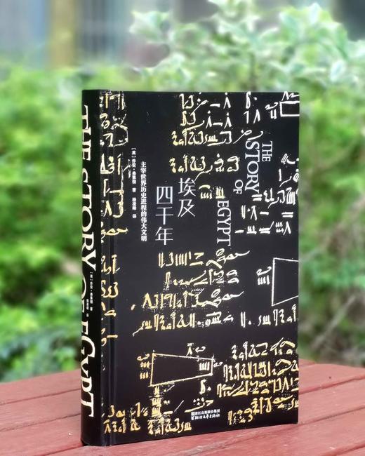 《埃及四千年：主宰世界历史进程的伟大文明》，精装，16开，[英]乔安.弗莱切著，浙江文艺出版社2020年一版九印，414页，定价118，售价53元。 商品图2
