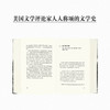 《迷惘的一代人的岁月：1890年代的美国》 商品缩略图2