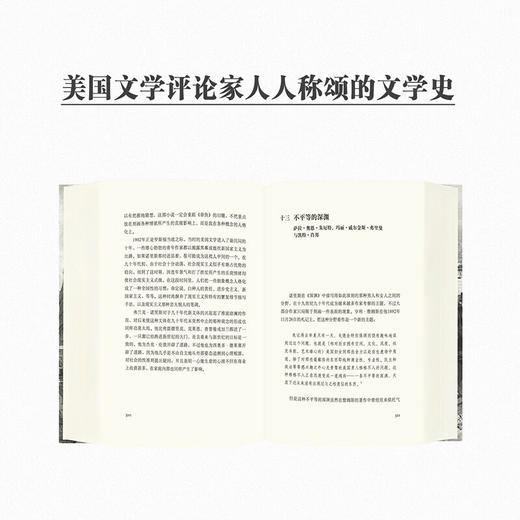 《迷惘的一代人的岁月：1890年代的美国》 商品图2