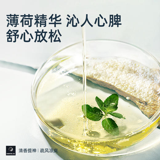元气达人薄荷精华清爽清凉贴 商品图5