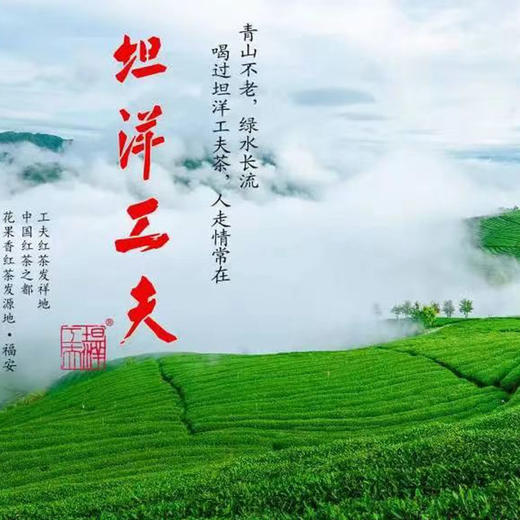 认领一亩坦洋工夫茶 商品图0