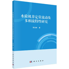 水轮机非定常流动及多相流特性研究