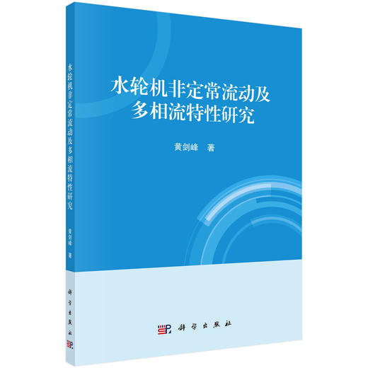 水轮机非定常流动及多相流特性研究 商品图0