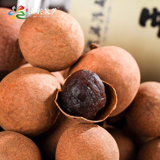 0594【国企严选，山海食材】莆田五彩秋芦五福桂圆260g*2礼盒装 商品图2