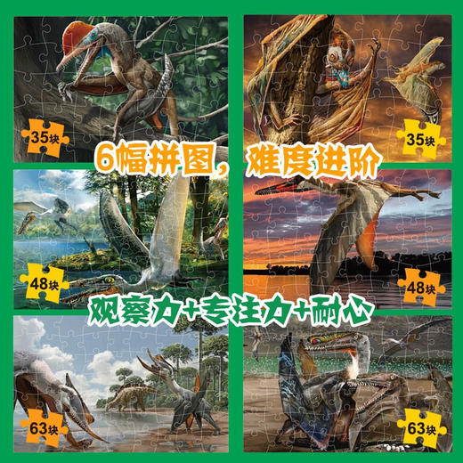 PNSO中国恐龙知识拼图+中国翼龙知识拼图+中国海龙知识拼图 商品图2