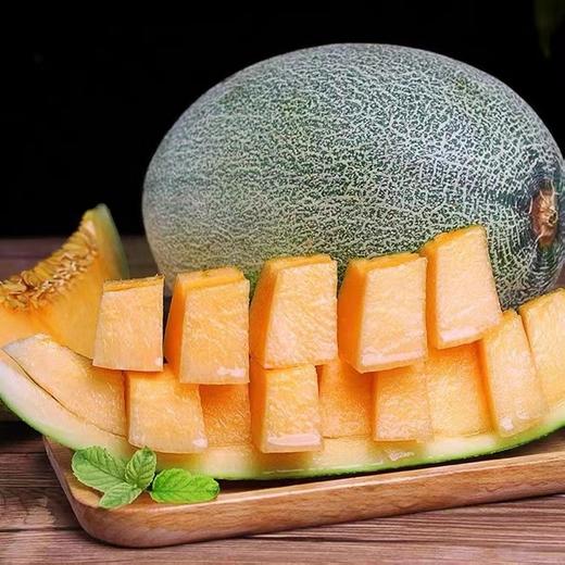 新疆吐鲁番【火焰山哈密瓜】西州蜜25号 酥脆可口 爆甜汁多 肉厚皮薄 皇家贡品 产地直发 商品图1