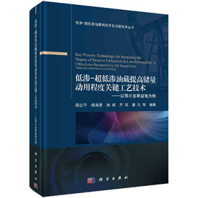 低渗-超低渗油藏提高储量动用程度关键工艺技术：以鄂尔多斯盆地为例