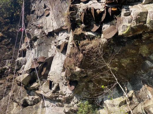 安叶家自产岩蜜/挂蜜（500克） 商品图9