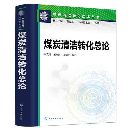 煤炭清洁转化技术丛书--煤炭清洁转化总论 商品图1