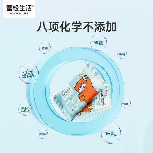 蓬松生活纯水湿厕纸单片独立装10抽纸便携湿厕纸可冲散男女擦屁屁 商品图5